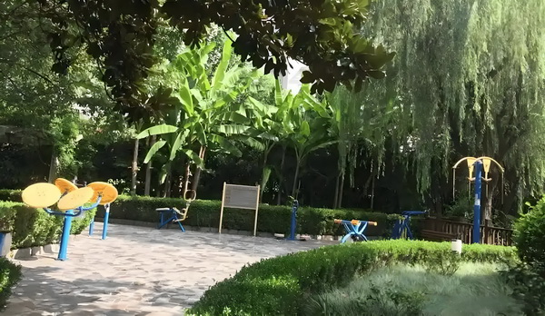敢婚时代